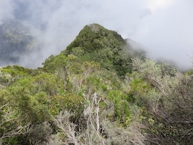 Piton du Petit-Mapou 7 février 2023 